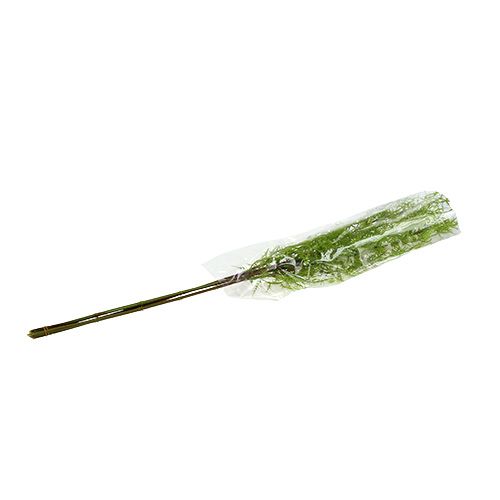 Floristik24 Chřest větev 75cm zelená 3ks