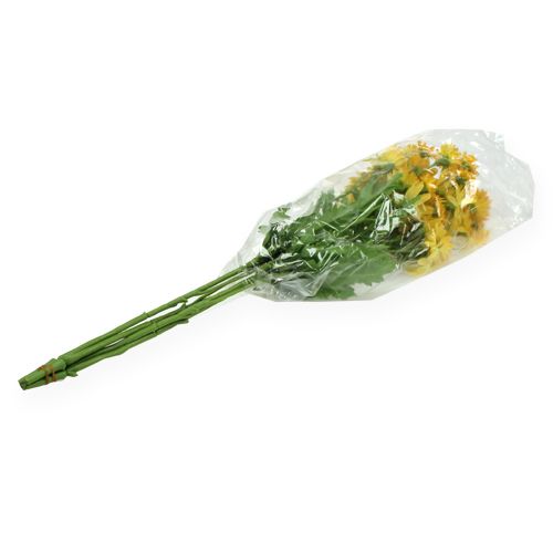 Floristik24 Ozdobná větev sedmikráska žlutá 43cm 4ks