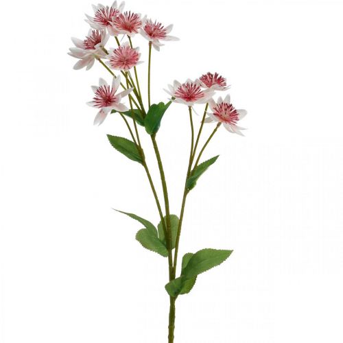 položky Velký květ květ z umělého hedvábí z Astranie bílá růžová L61cm