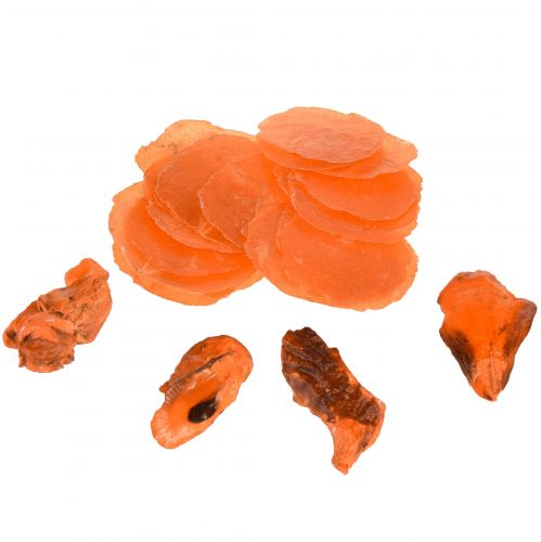 Capiz hlíva ústřičná plátky v čisté oranžové 3,5–9,5 cm 2ks