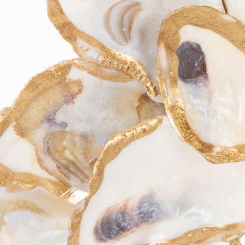 položky Věnec z ústřic a mušlí, dekorace do domu s námořnickým motivem, přírodní nástěnná dekorace, 12 cm