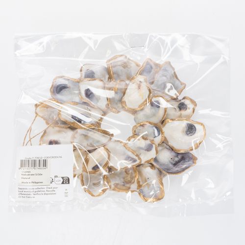 položky Věnec z ústřic a mušlí, dekorace do domu s námořnickým motivem, přírodní nástěnná dekorace, 12 cm