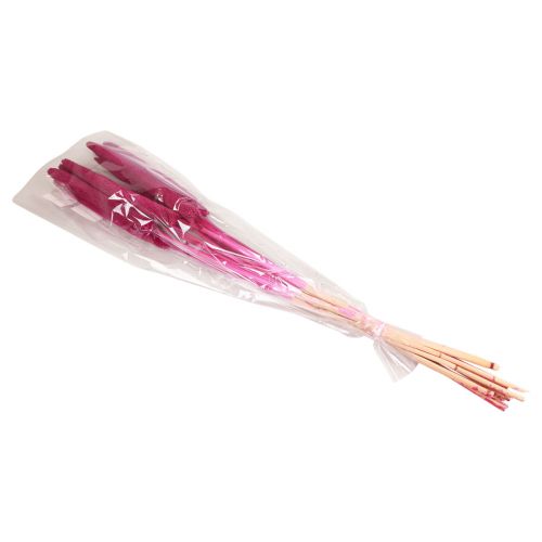 položky Perlové proso, rákos babala, proso růžové 70cm 10 ks