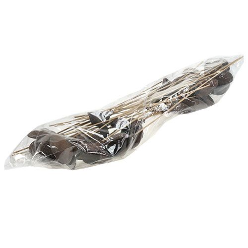 položky Badam na špejli přírodní 6cm - 12cm 23 ks