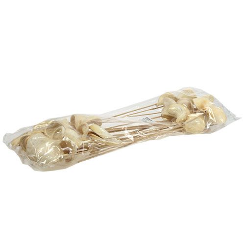 Floristik24 Badam na špejli bělený 6cm - 12cm L55cm 23 ks