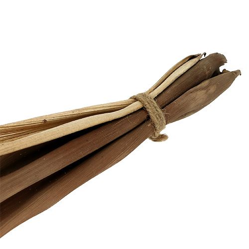 Floristik24 Miska na banánové listy 40-45cm přírodní 1 kus