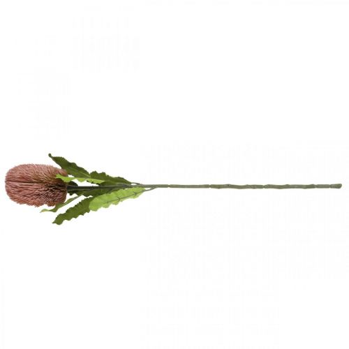 položky Umělá květina Banksia růžová podzimní dekorace památeční floristika 64cm