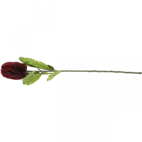 položky Umělá květina Banksia Červená Vínová umělá Exotika 64cm