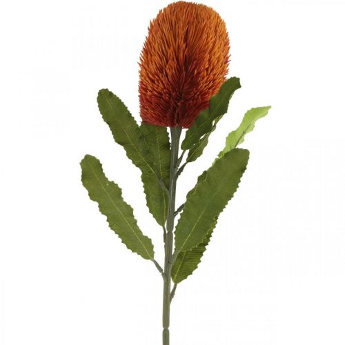 Floristik24 Umělá květina Banksia Orange podzimní dekorace pohřební květiny 64cm