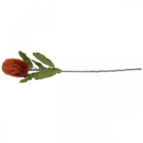 položky Umělá květina Banksia Orange podzimní dekorace pohřební květiny 64cm