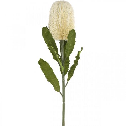 Umělý květ Banksia White Cream Artificial Exotics 64cm