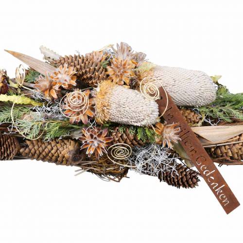 Floristik24 Banksia Hookerana natural 7 ks
