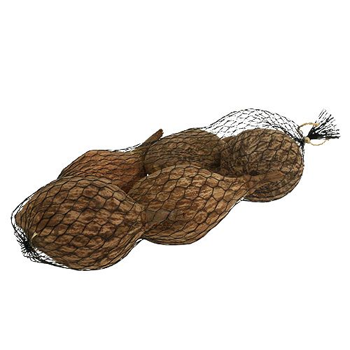 Floristik24 Ovoce baobab loupané 15cm - 20cm přírodní 5 ks