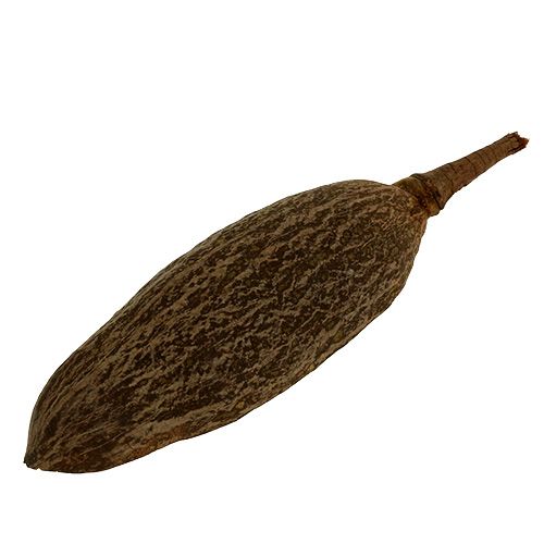 Floristik24 Baobab miska přírodní 30cm - 38cm loupaná