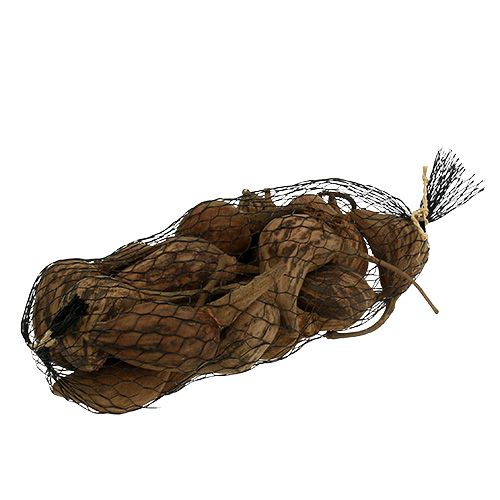 Floristik24 Baobab mini loupaný přírodní 8cm - 12cm 250g