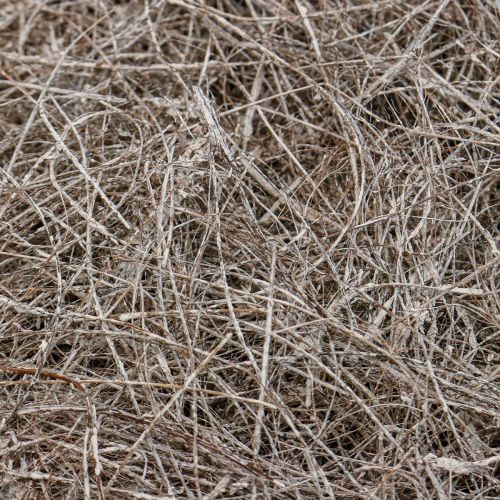 položky Řemeslný materiál palmová vlákna bílá praná palmyra palma 1kg
