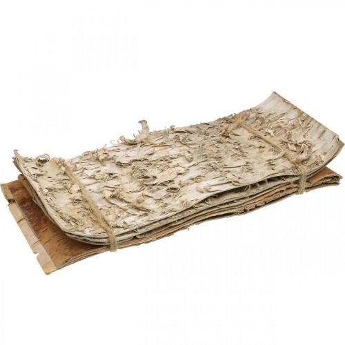 Floristik24 Stromová kůra ozdobné pruhy kůry přírodní březová kůra 30×12cm 6 kusů