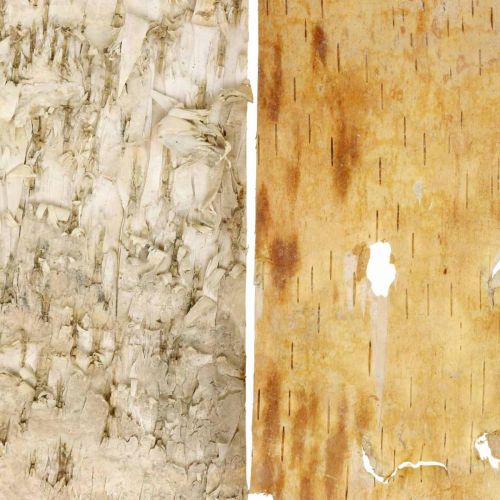 Floristik24 Stromová kůra ozdobné pruhy kůry přírodní březová kůra 30×12cm 6 kusů
