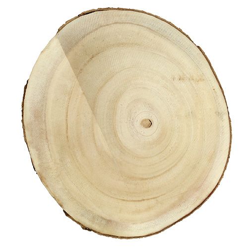Floristik24 Plátek na strom přírodní Ø20cm - 30cm
