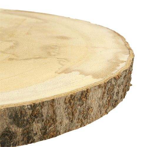 Floristik24 Kotouč stromečku Ø30cm - 35cm přírodní