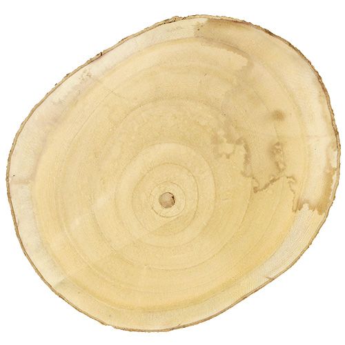 Floristik24 Kotouč stromečku Ø30cm - 35cm přírodní