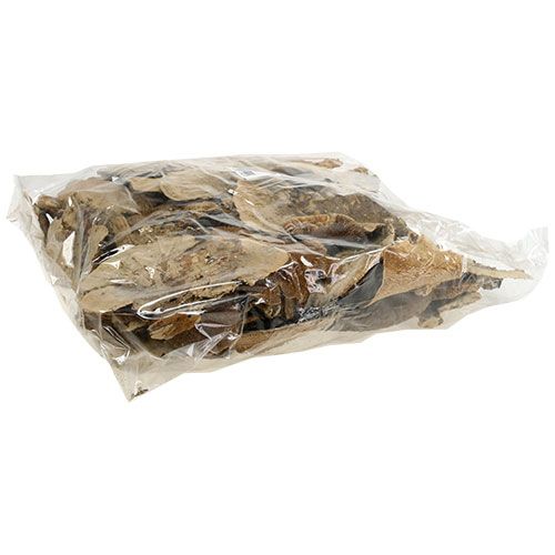 položky Houba stromová přírodní dekorativní houby sušené 6cm 1kg