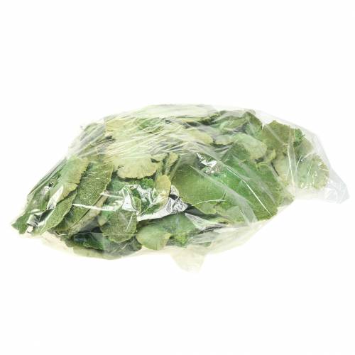položky Houba stromová zelená bílá vypraná 1kg