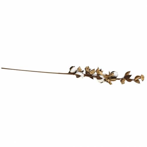 Floristik24 Bavlněná větvička 75cm