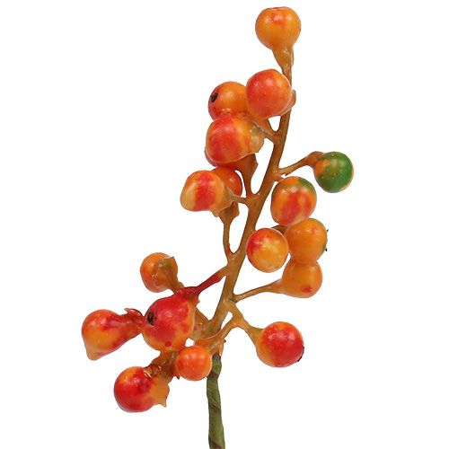 Floristik24 Svazek oranžových plodů L20cm