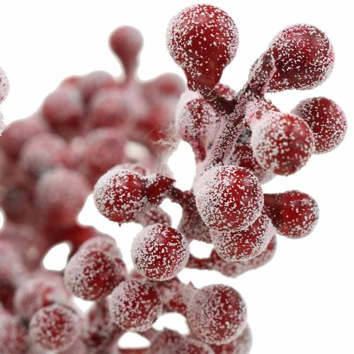Floristik24 Berry pick červený, ledový 21cm 12 ks