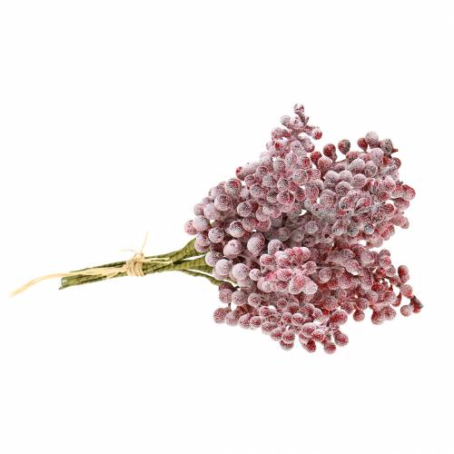 Floristik24 Berry pick červený, ledový 21cm 12 ks