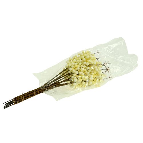 položky Berry branch cream L30cm 12ks