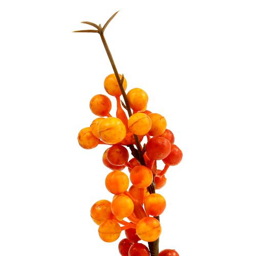 Floristik24 Bobulová větev oranžová L 30cm 12ks