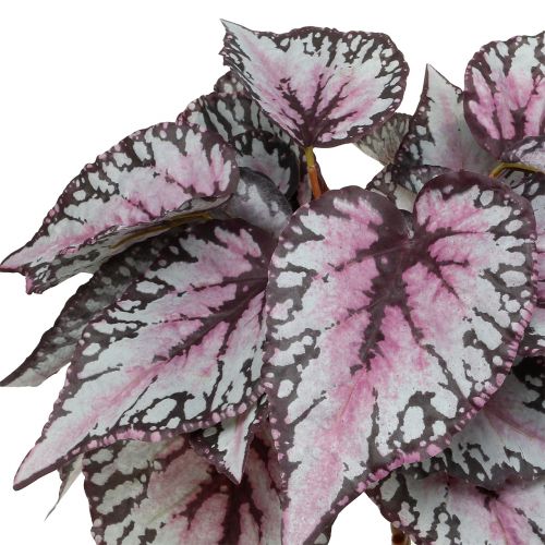 Floristik24 Umělý keř begónie Bordeaux 37cm