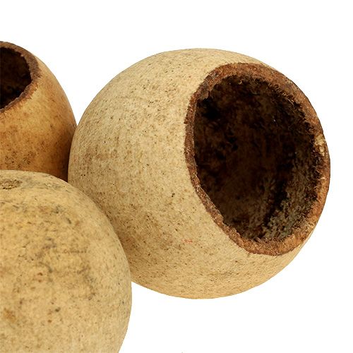 položky Bell Cup malý přírodní 25 ks