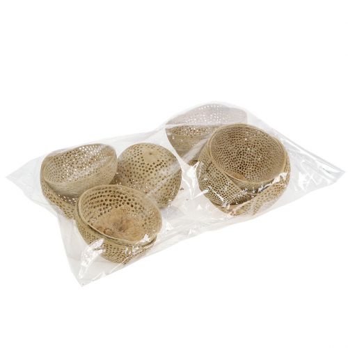 položky Sušené ovoce Bell Cup Přírodní smuteční dekorace 8,5-11cm 10 ks