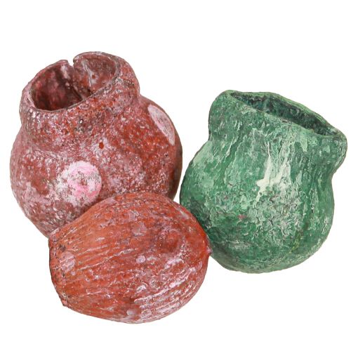 Floristik24 Bellgum zvonek plod zelená bobule ojíněný 2,5-3,5cm 500g