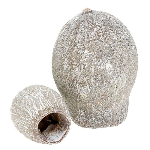 položky Zvony bílené 2cm - 5cm 500g