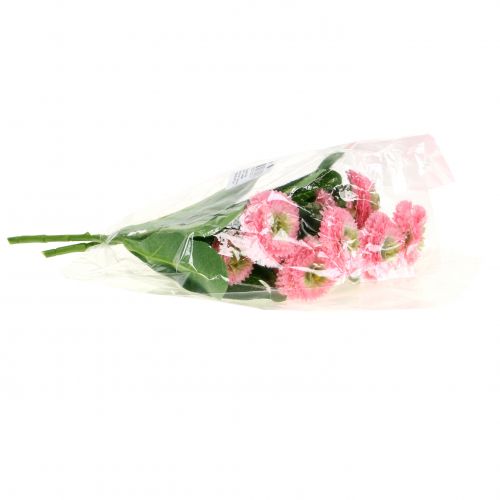 Floristik24 Bellisbund růžový 24cm 2ks