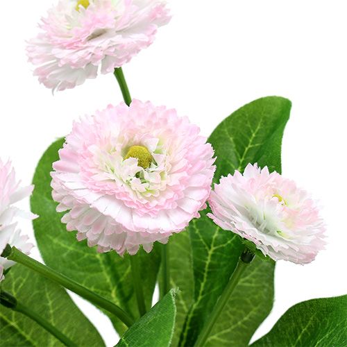 Floristik24 Bellispick růžový L 24cm