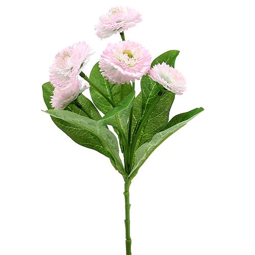 Floristik24 Bellispick růžový L 24cm