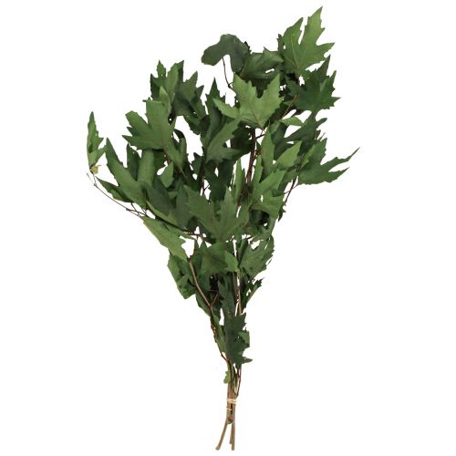položky Větve platanu listy dekorativní javorové listy zelené 50-60cm 100g