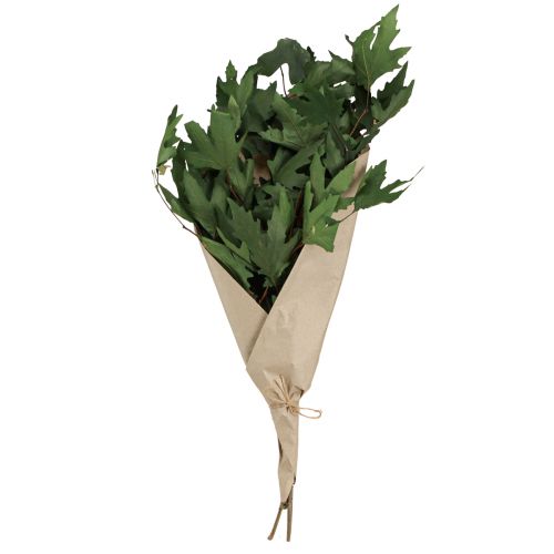 položky Větve platanu listy dekorativní javorové listy zelené 50-60cm 100g