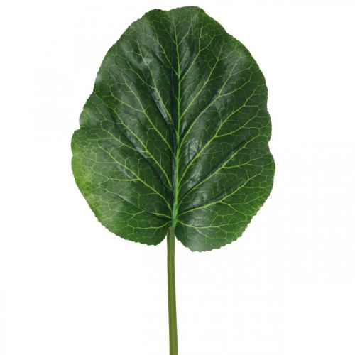 Floristik24 Umělá zelená rostlina Bergenia zelená umělá rostlina 53cm