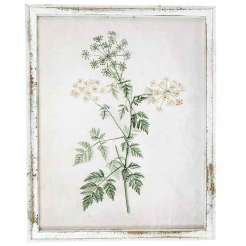 položky Vintage nástěnná dekorace, obraz s rámem sušená rostlina ze dřeva 40×50cm