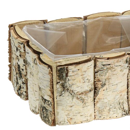 Floristik24 Box na rostliny břízy 2ks