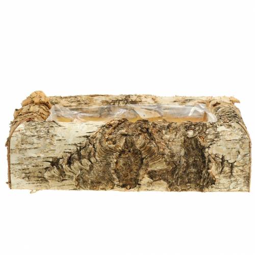 Floristik24 Květináč bříza 30 cm x 20 cm V8 cm