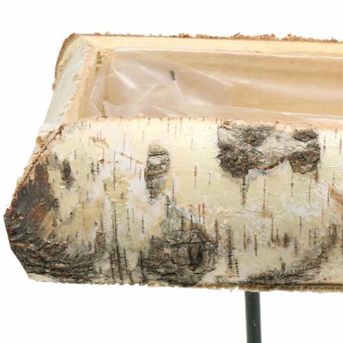 Floristik24 Květináč bříza s kovovou základnou 35x12cm V27cm