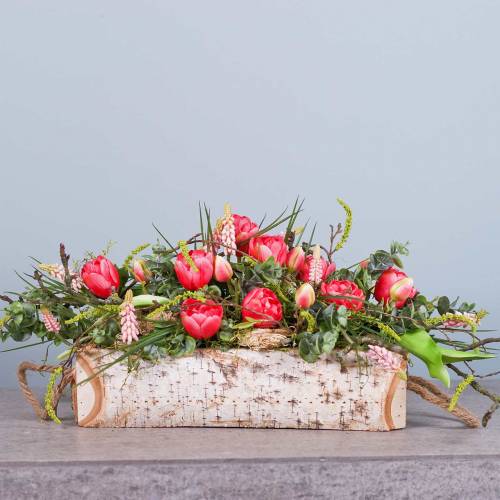 Floristik24 Rostlinný truhlík bříza s provazovými držadly 38x16cm V9cm