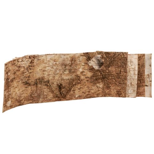 Floristik24 Březová kůra dekorativní pruhy kůry přírodní bílá 48×15cm 6 ks
